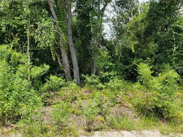 PINE VALLEY DRIVE LOT 37, PAISLEY, FL 32767