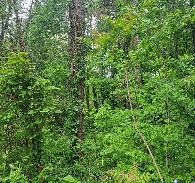 2nd image of 3136 Turner Rd Lot B
