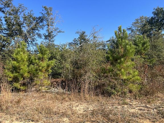 3rd image of LOT 57 Spirit Ct