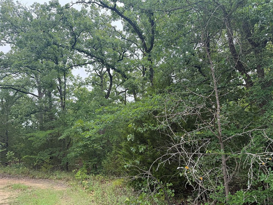 1st image of LOT 784 #785