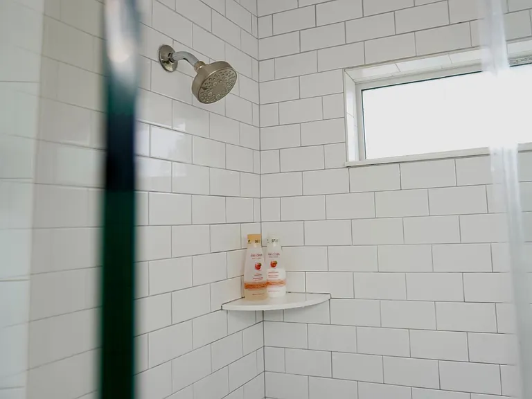 Primary Shower
