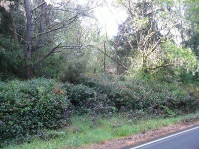 0 Stackpole Rd, Oysterville, WA, 98641