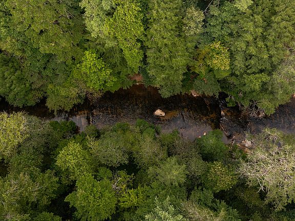 2nd image of 43 Dogwood Riverside Dr