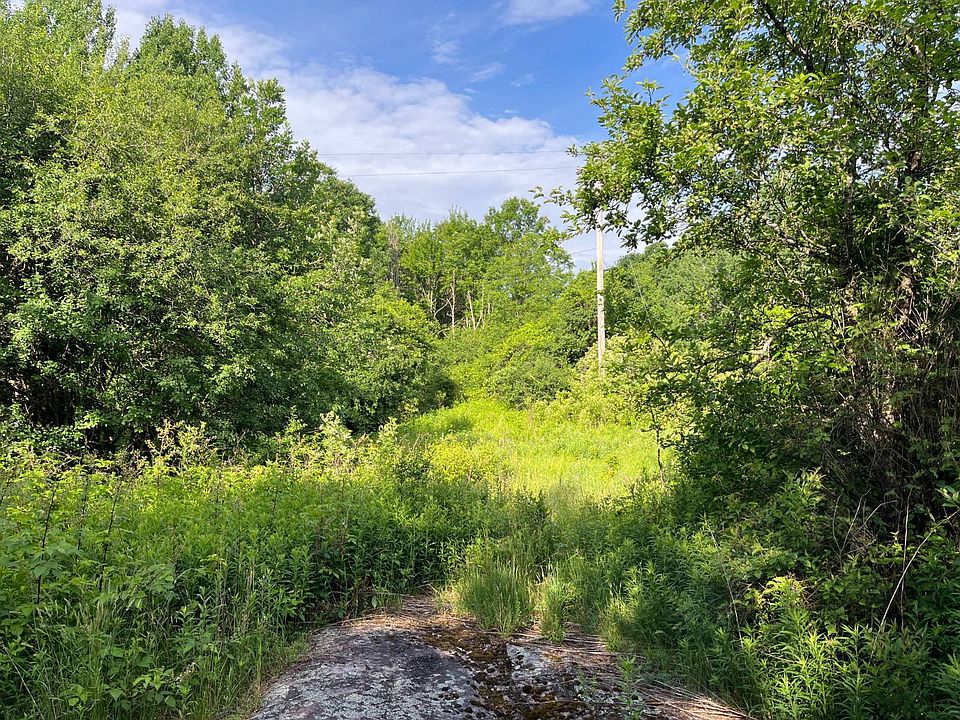 1st image of 0 Eddy Pyrites Rd #1