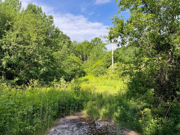 0 Eddy Pyrites Rd #1, Canton, NY 13617