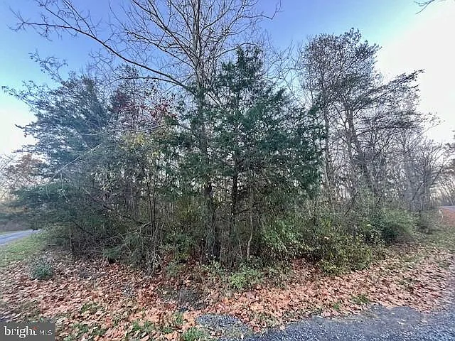 Oak Ln photo 1