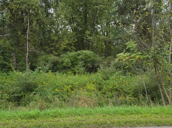 V/l Shay Lake Rd, Silverwood, MI 48219
