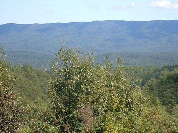 4th image of Tbd Vista Ln