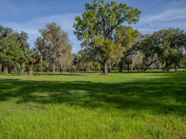 Highway 316, Reddick, FL 32686