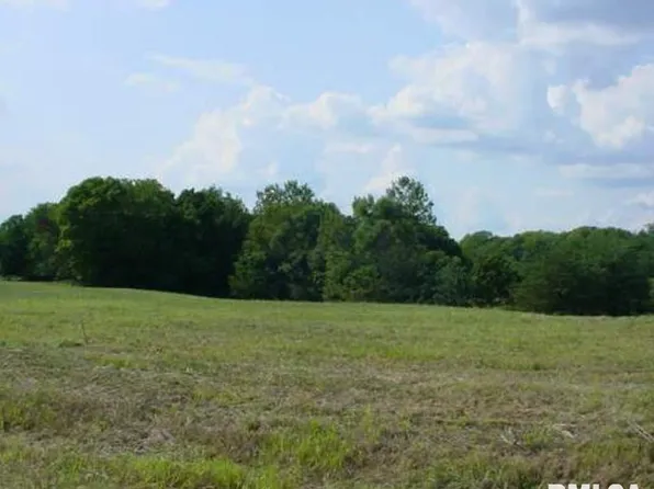 1 E Bluff Dr, Petersburg, IL 62675