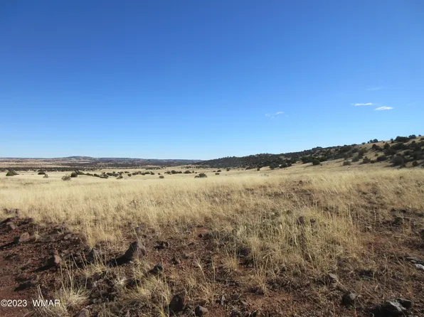 8541 Concho Hwy, Concho, AZ 85924