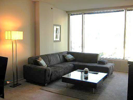Lots of Natural Light in the Living Room