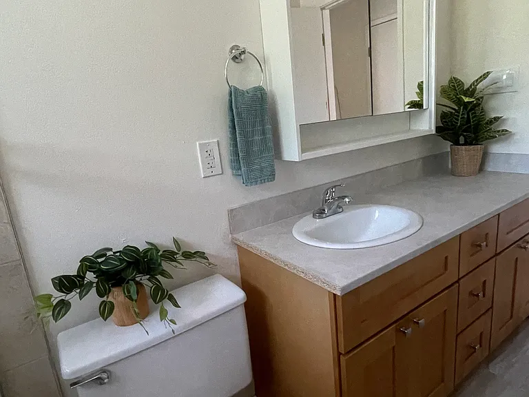 Bathroom (staged)