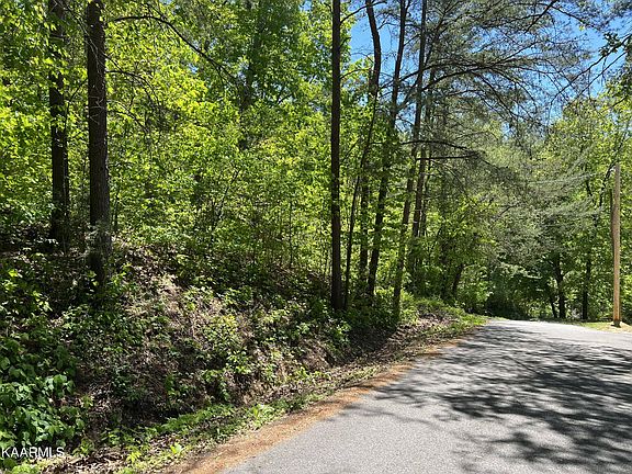 4th image of Bowman Dr