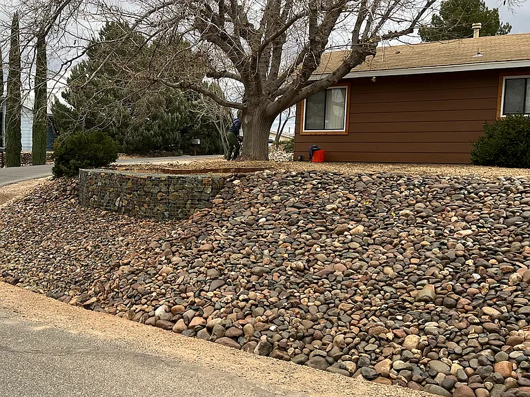 Front yard