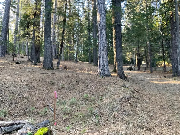 2510 Murphys Dr, Arnold, CA 95223