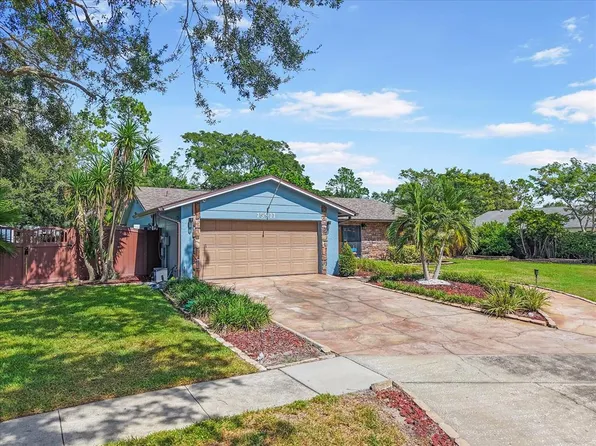 15911 IRONWARE PLACE, TAMPA, FL 33624