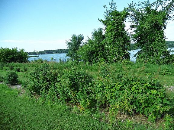 3rd image of 29697 Lake Linka Ln