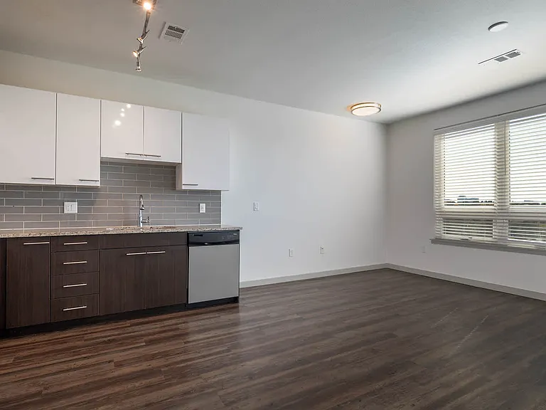 Kitchen and Living Area with Hard Surface Flooring