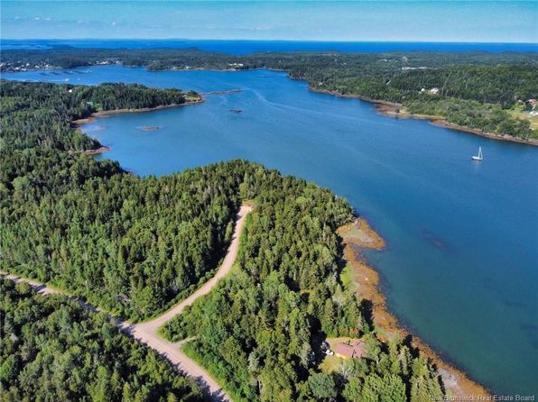 61 Circle Dr, Campobello Island, NB E5E 1J6