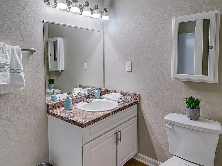 Master bathroom