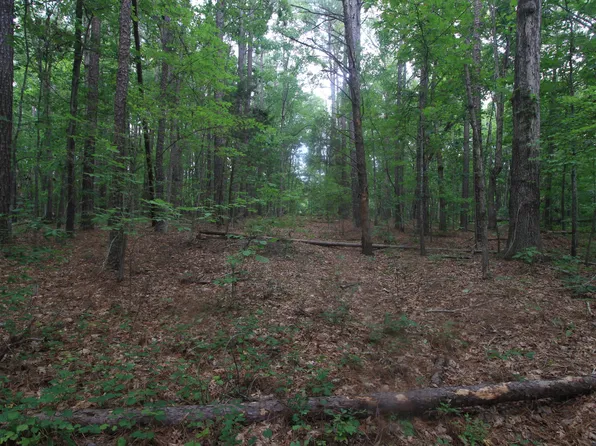 0 Macdonald Rd Lot 2, Scottsburg, VA 24589