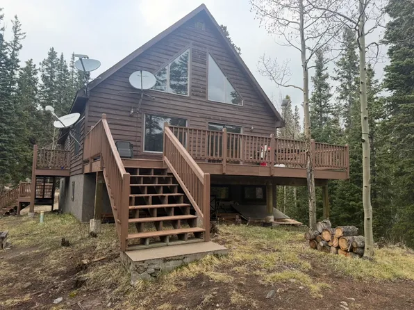 358 Peterson Dr, Alma, CO 80420