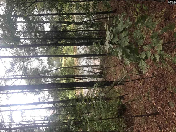 369 Woodlander Dr, Blythewood, SC 29016