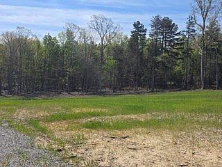 3rd image of Farmville Rd