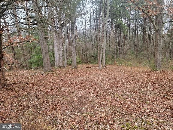 2nd image of 10411 Woodward Dr