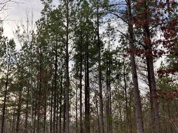 206 Madison St #410, Fredericktown, MO 63645