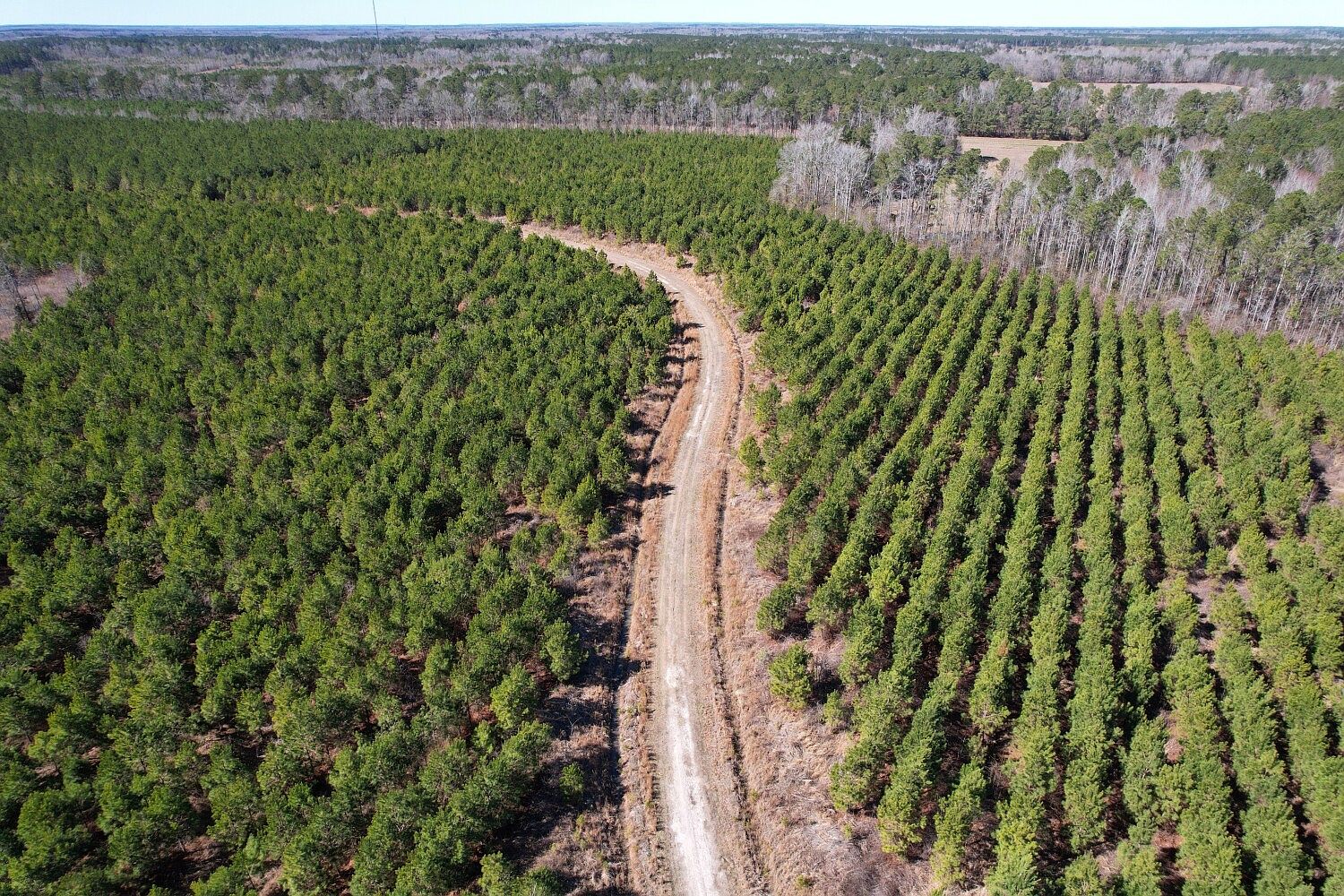 0 Neighborhood Rd, Mayesville, SC 29104 MLS 11254645 Zillow