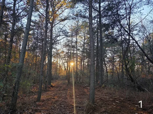 0 County Road 53, Cedar Bluff, AL 35959