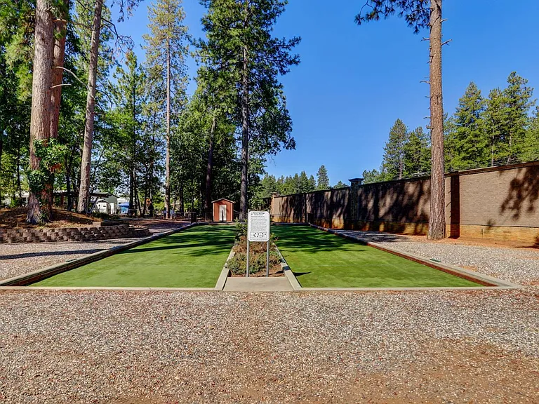 Forest Springs — Photo 12
