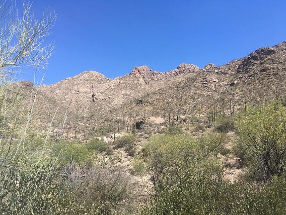 5th image of 1649 E Barrell Cactus Ct
