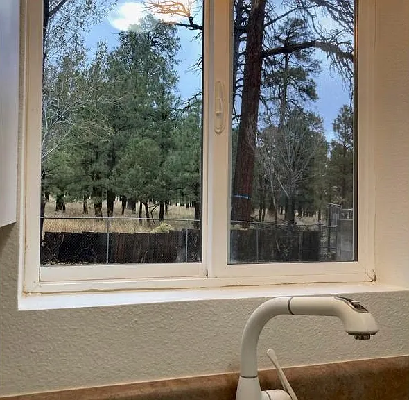 6409 N Snowflake Dr — Photo 5