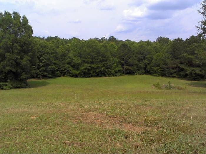 View from the back porch