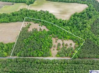 Daniel Chapel Rd, Mc Coll, SC 29570
