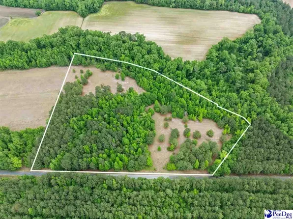 Daniel Chapel Rd, Mc Coll, SC 29570