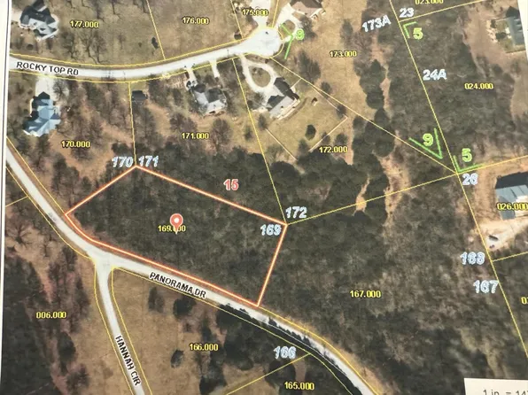 169 Panorama (Lot 169)-2.01 Acres- Drive, Cape Fair, MO 65624