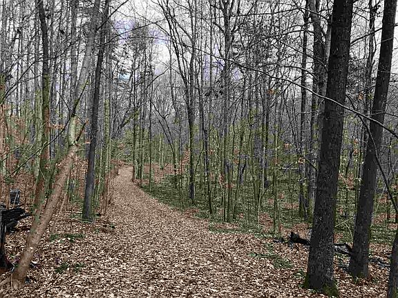 4th image of LOT 4 Valhalla Ct Lot 4