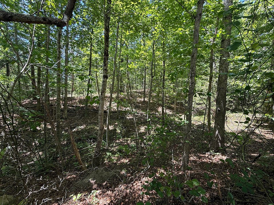 2nd image of 3422 Carvins Cove Rd