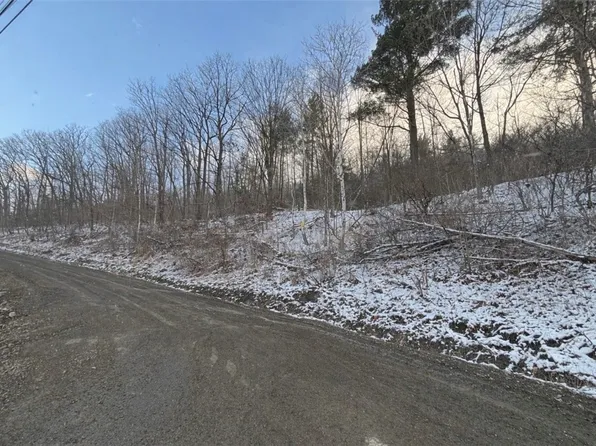 Obrien Rd N Lot 23, Savona, NY 14879