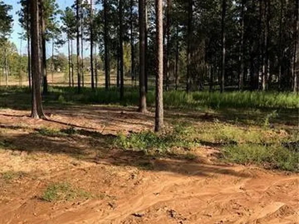 81 Herring Rd, Boyce, LA 71409