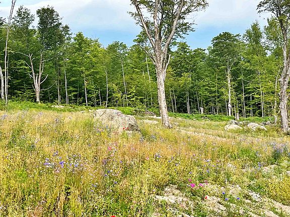 5th image of 842 Gibbs Road