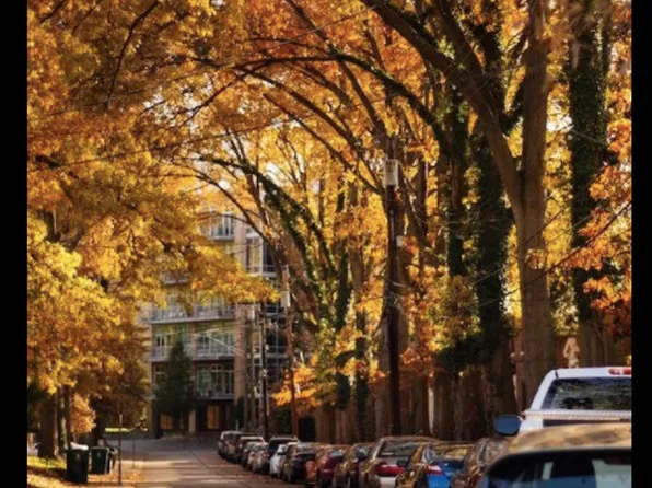 4138 Allendale Dr APT 4, Cincinnati, OH 45209