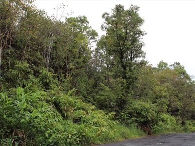 Ihope Rd, Mountain View, HI, 96771