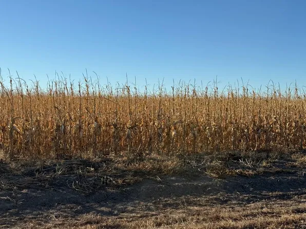 0 County Road 4, Tribune, KS 67879