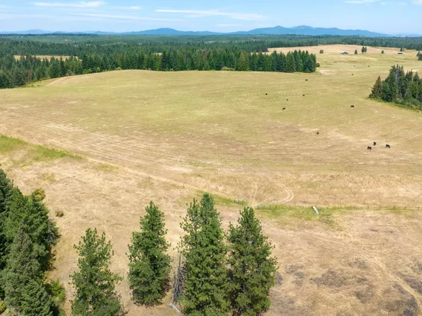 1605 Jasmine Lane Parcels 14 #&-15, Weippe, ID 83553