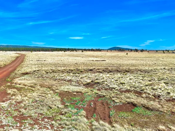 PARCEL Tanner Ranch Rd #C, Parks, AZ 86018